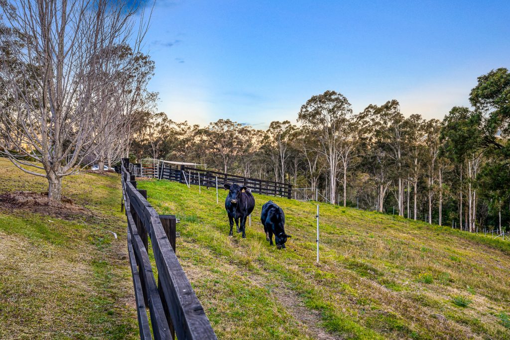 228 Hermitage Road, Kurrajong Hills NSW 2758 - photo 24