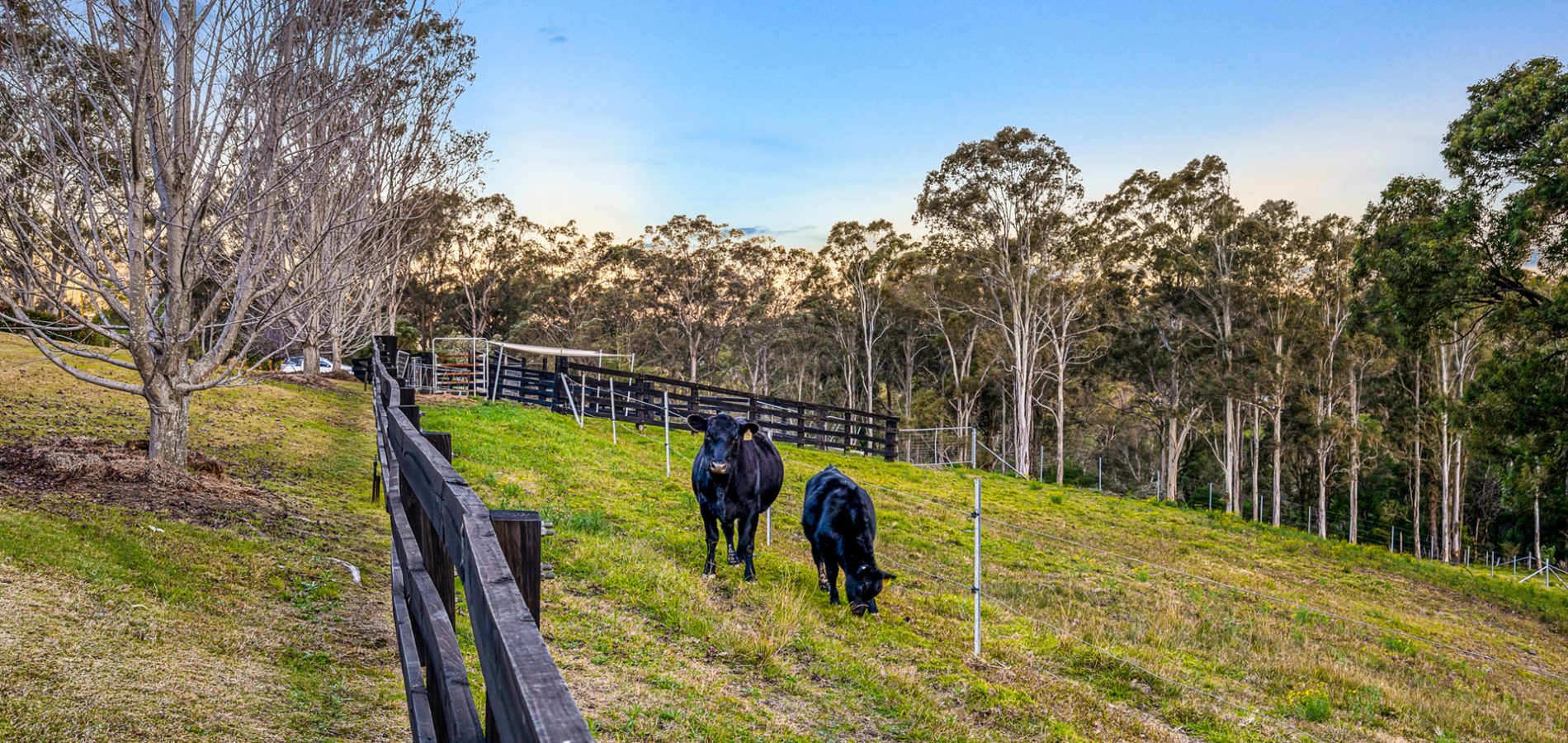 228 Hermitage Road, Kurrajong Hills NSW 2758 - photo 24