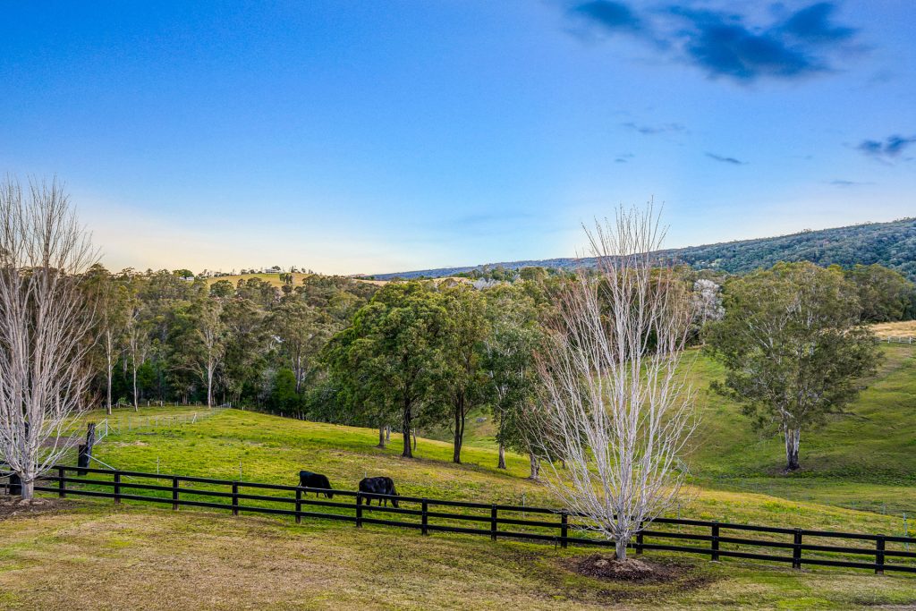 228 Hermitage Road, Kurrajong Hills NSW 2758 - photo 5
