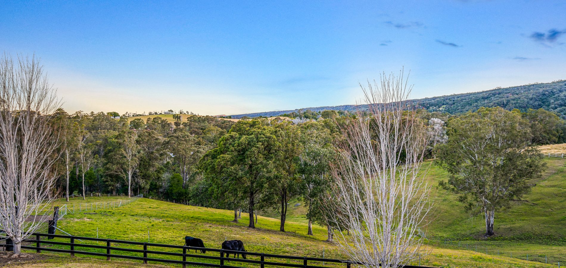 228 Hermitage Road, Kurrajong Hills NSW 2758 - photo 5