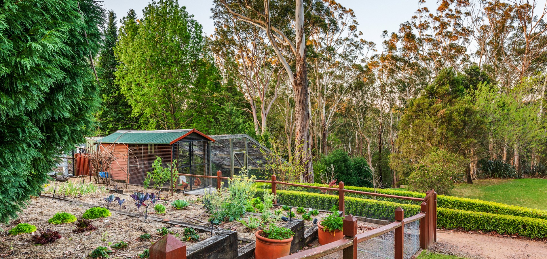 9 Harris Road, Dural NSW 2158 - photo 34
