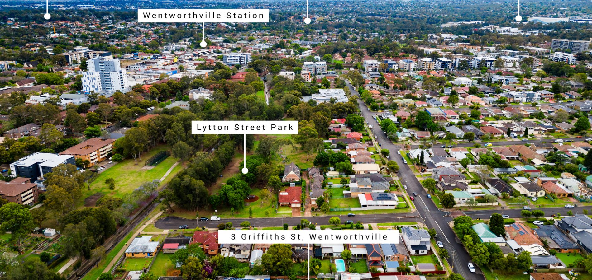 3 Griffiths Street, Wentworthville NSW 2145 - photo 15