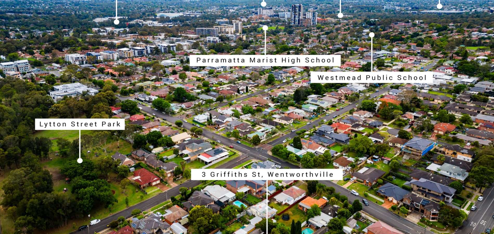 3 Griffiths Street, Wentworthville NSW 2145 - photo 17