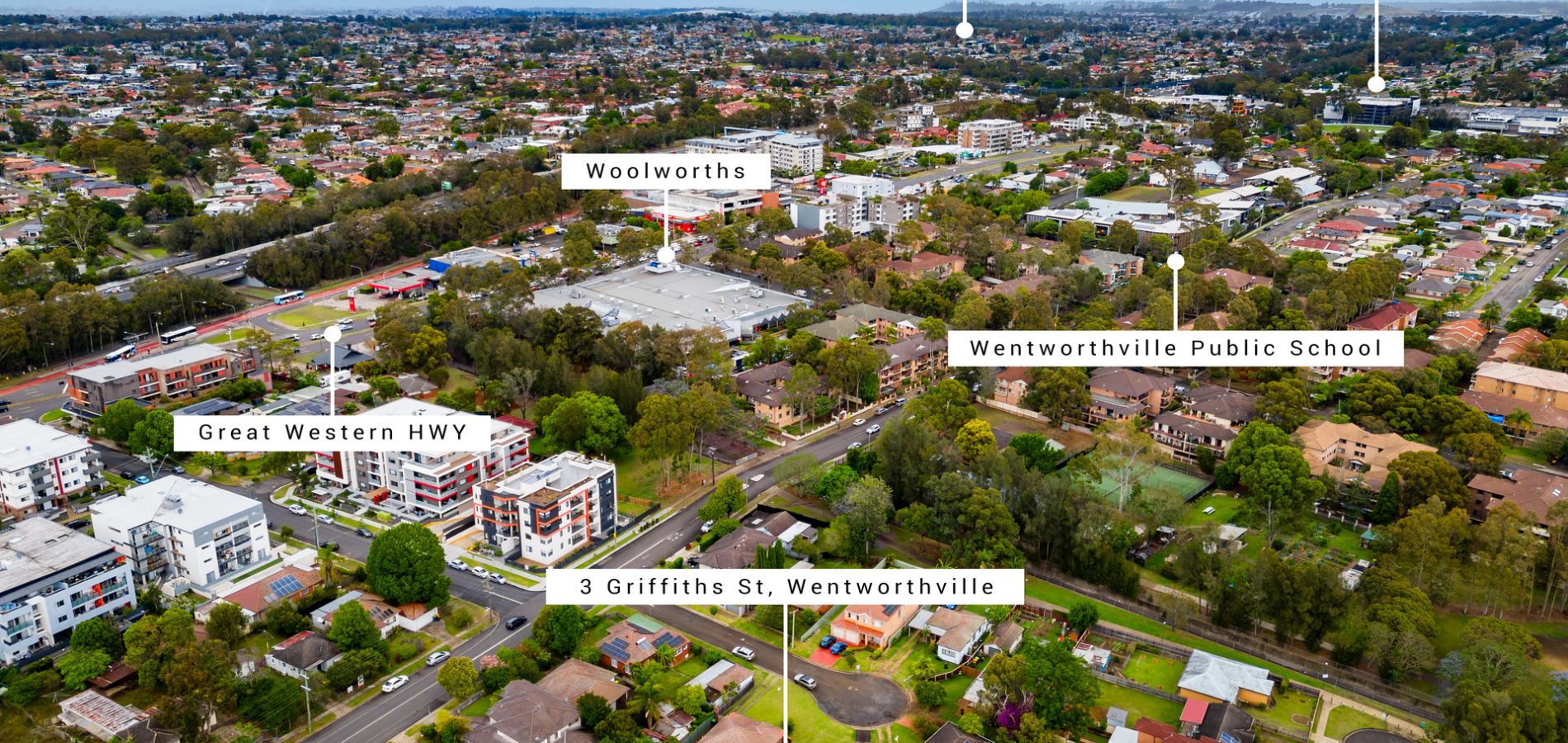 3 Griffiths Street, Wentworthville NSW 2145 - photo 18