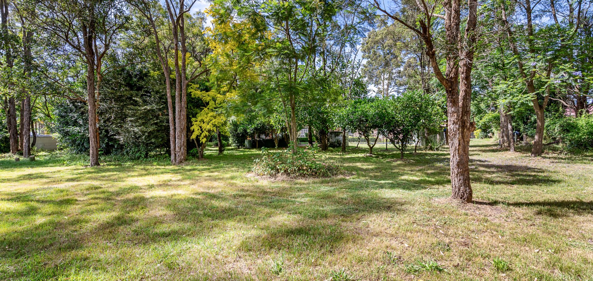 39 Barkly Drive, Windsor Downs NSW 2756 - photo 14