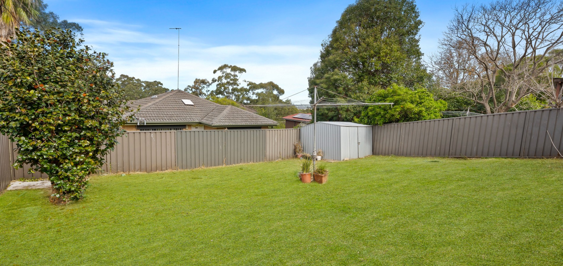 321 Seven Hills Road, Seven Hills NSW 2147 - photo 7