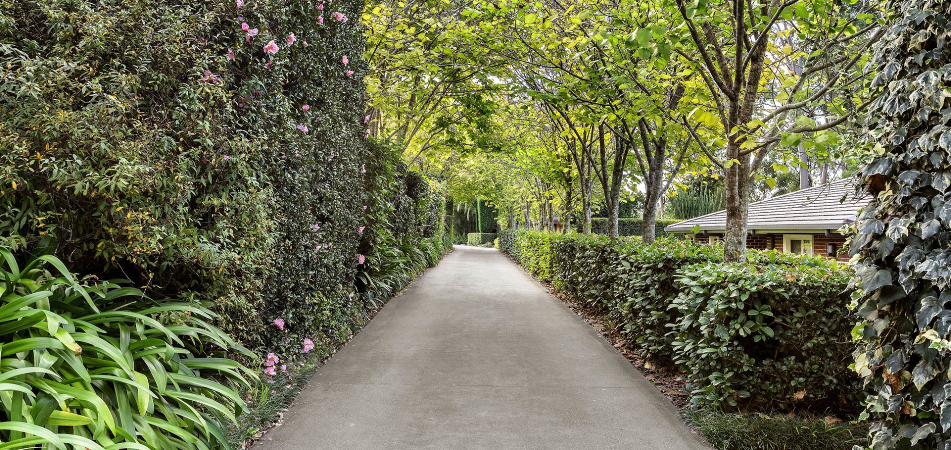 8 Graylind Avenue, West Pennant Hills NSW 2125 - photo 15