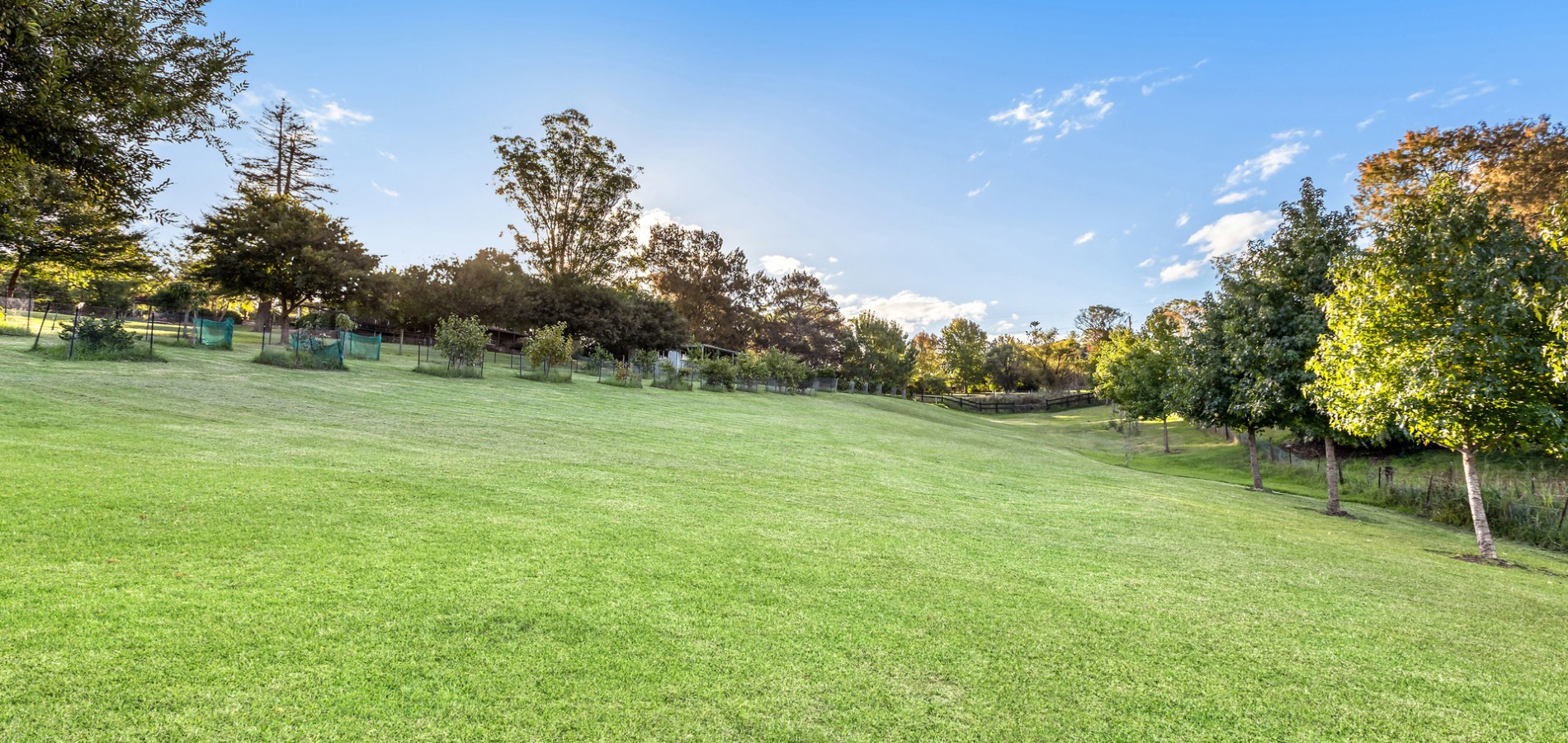 3 Gartung Road, Galston NSW 2159 - photo 16