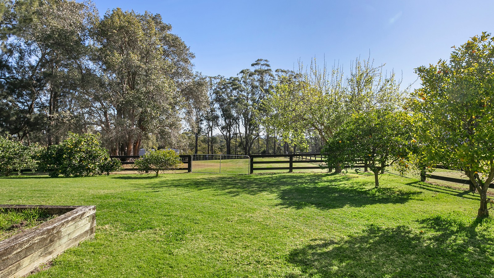 44 Cranstons Road, Middle Dural NSW 2158 - photo 20
