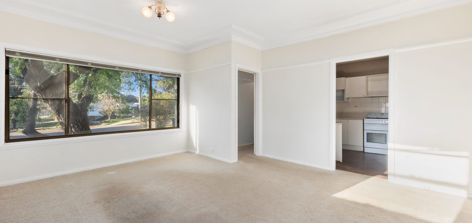 10 Geoffrey Street, Constitution Hill NSW 2145 - photo 2