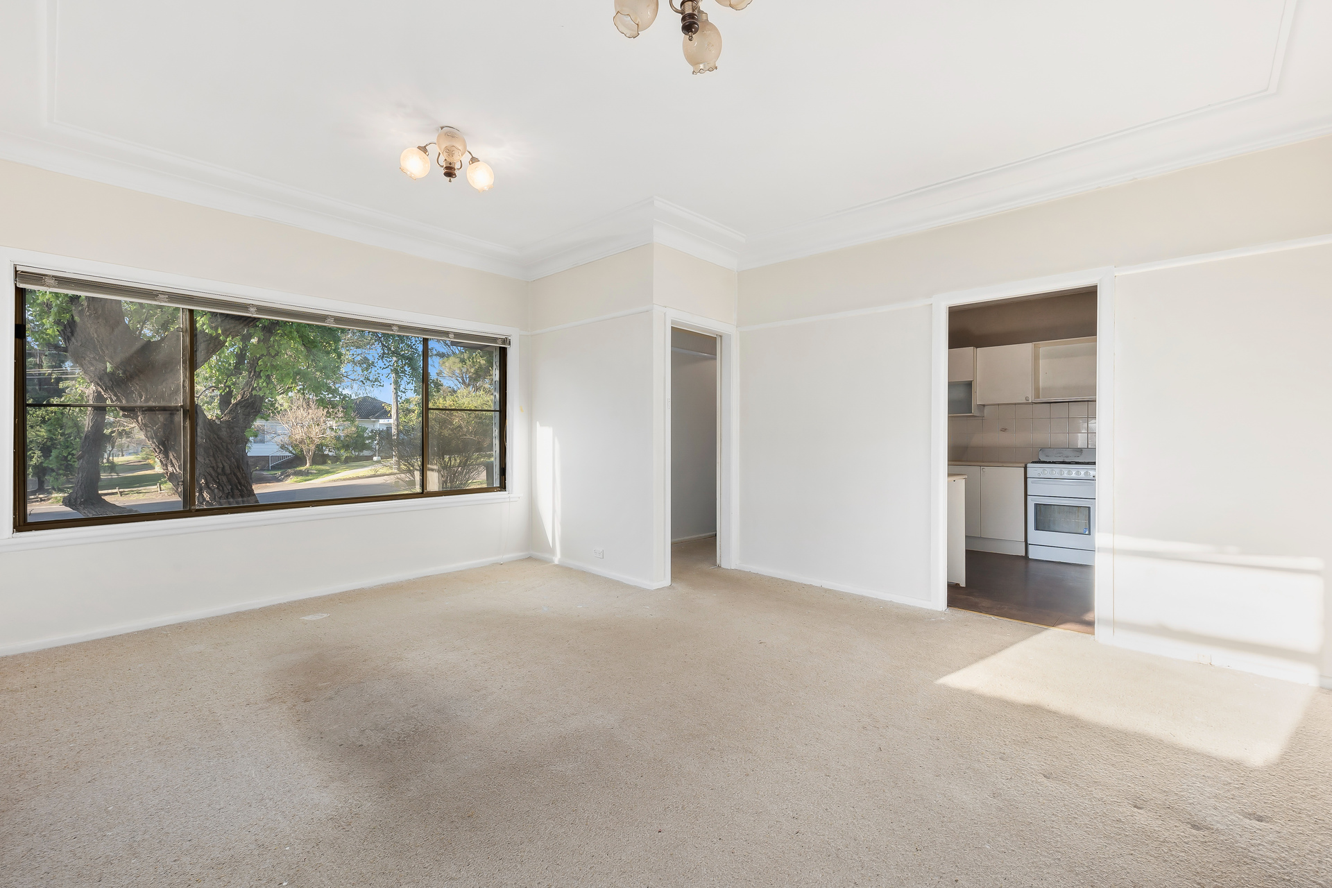 10 Geoffrey Street, Constitution Hill NSW 2145 - photo 2