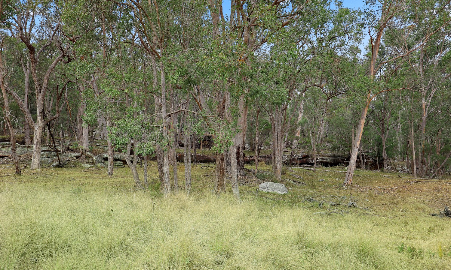 291 Hidden Valley Lane, Glenorie NSW 2157 - photo 11