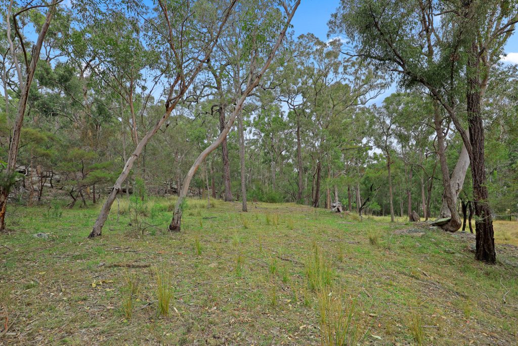 291 Hidden Valley Lane, Glenorie NSW 2157 - photo 12