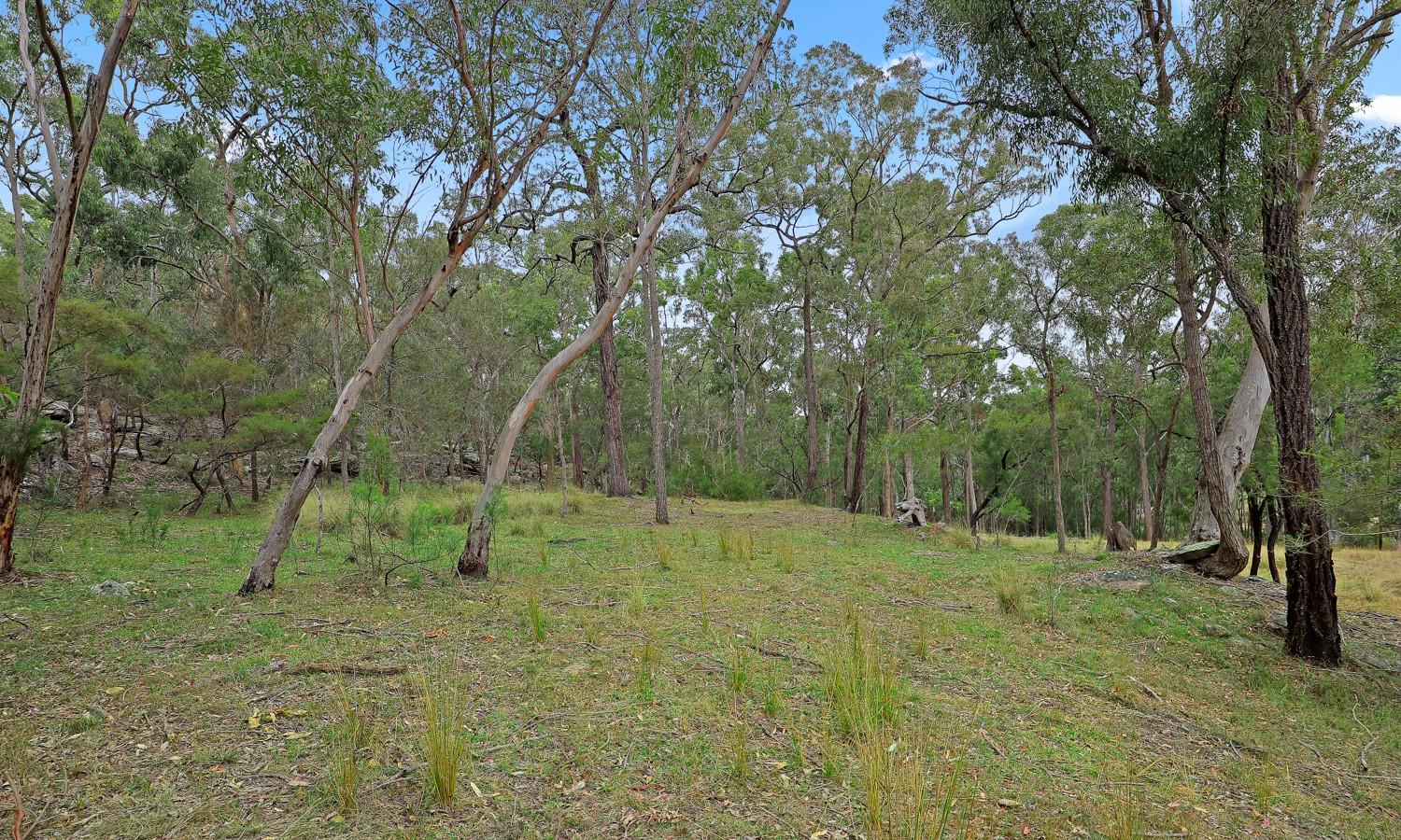 291 Hidden Valley Lane, Glenorie NSW 2157 - photo 12