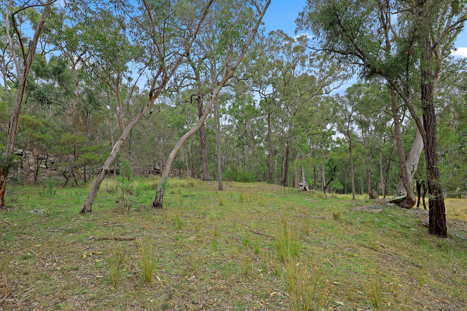291 Hidden Valley Lane, Glenorie NSW 2157 - photo 12
