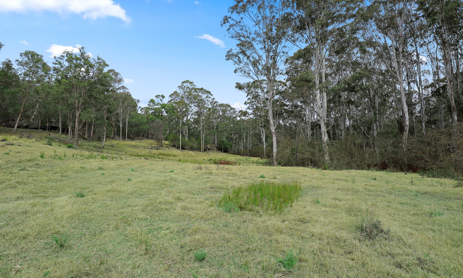291 Hidden Valley Lane, Glenorie NSW 2157 - photo 6