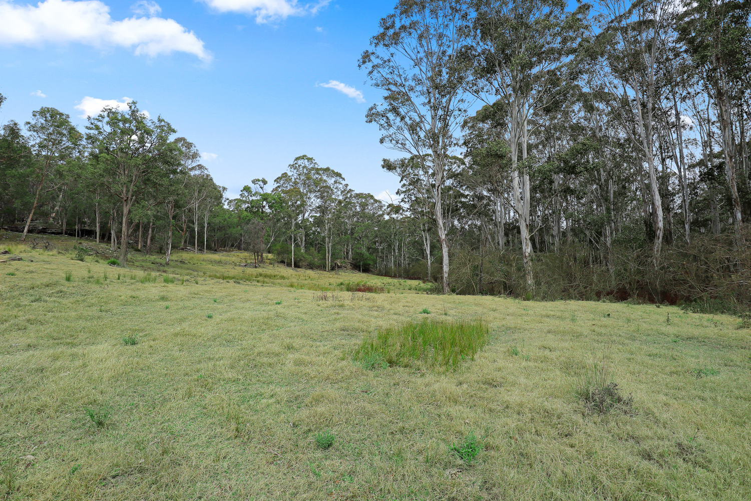 291 Hidden Valley Lane, Glenorie NSW 2157 - photo 6