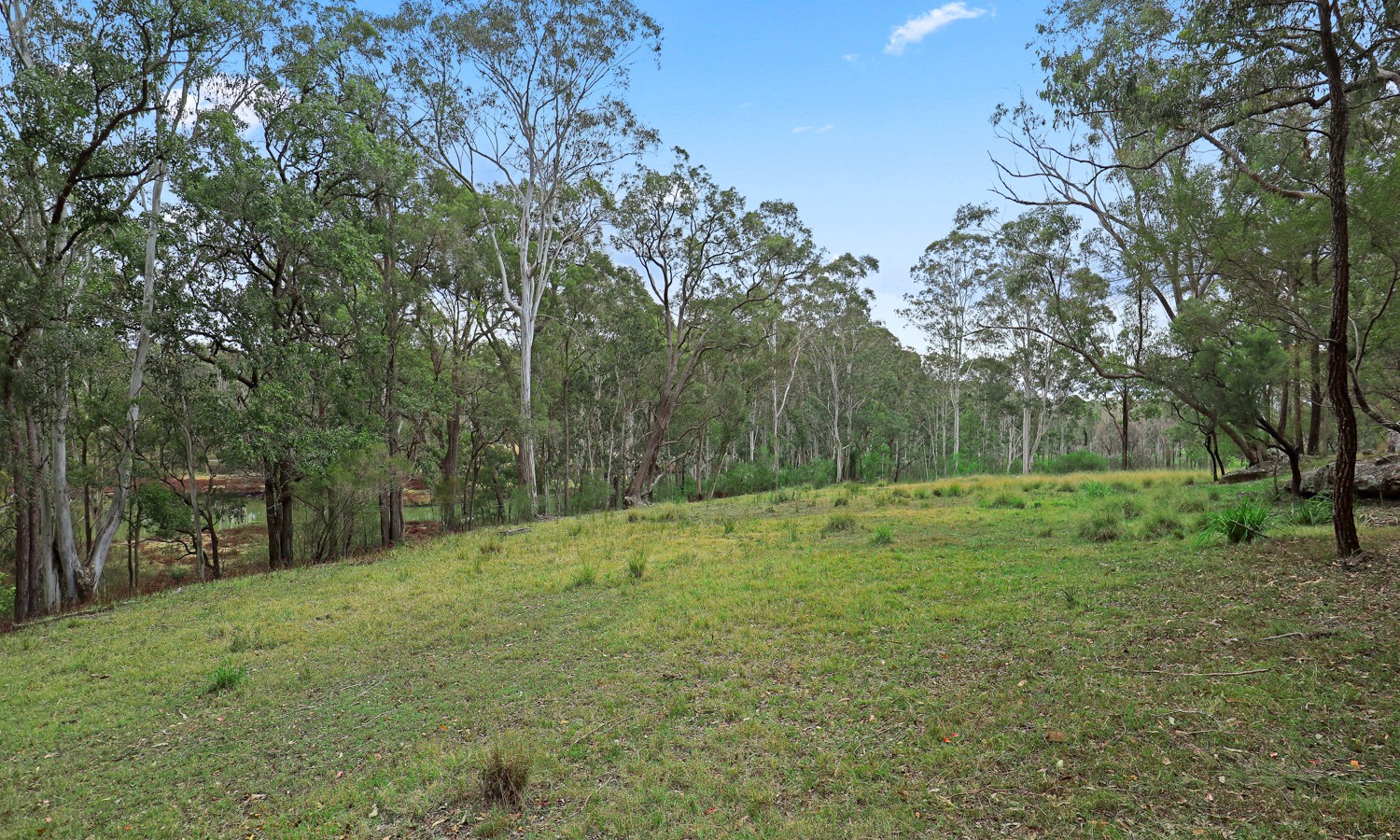 291 Hidden Valley Lane, Glenorie NSW 2157 - photo 7
