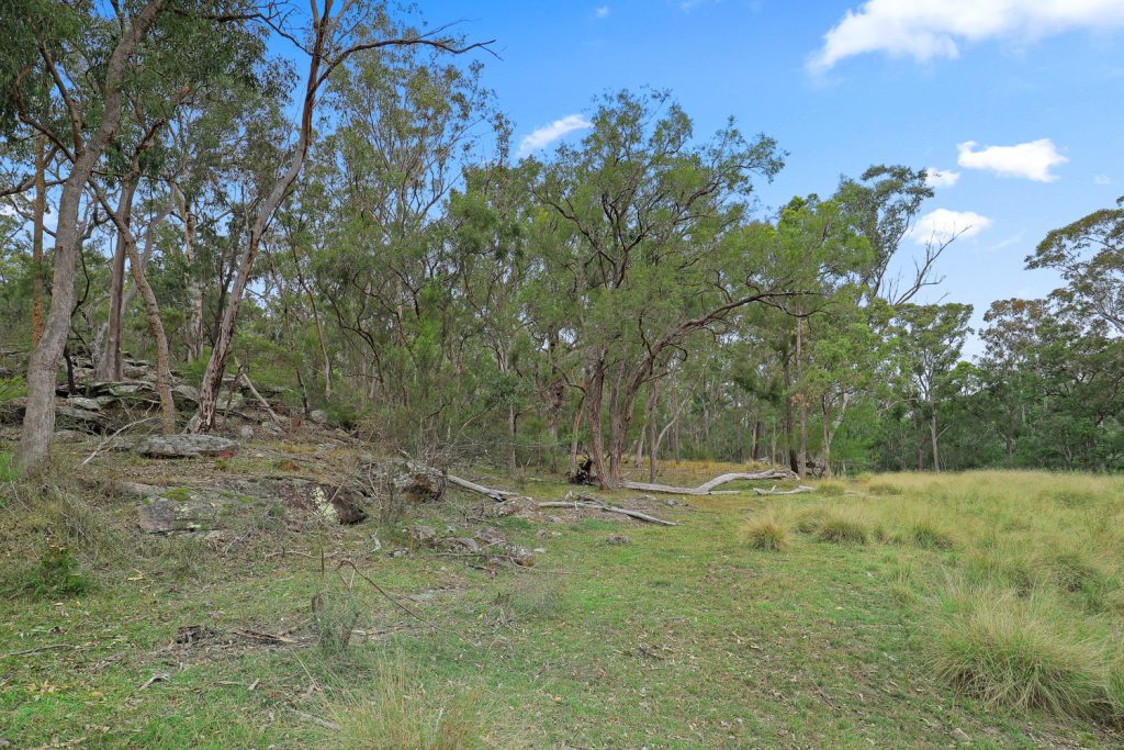 291 Hidden Valley Lane, Glenorie NSW 2157 - photo 9