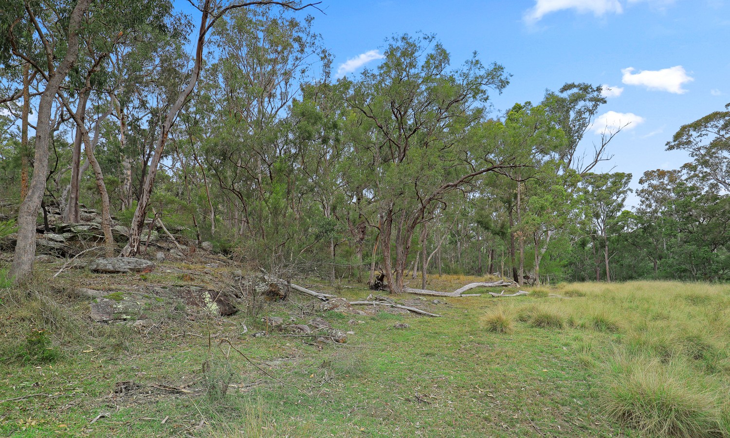 291 Hidden Valley Lane, Glenorie NSW 2157 - photo 9
