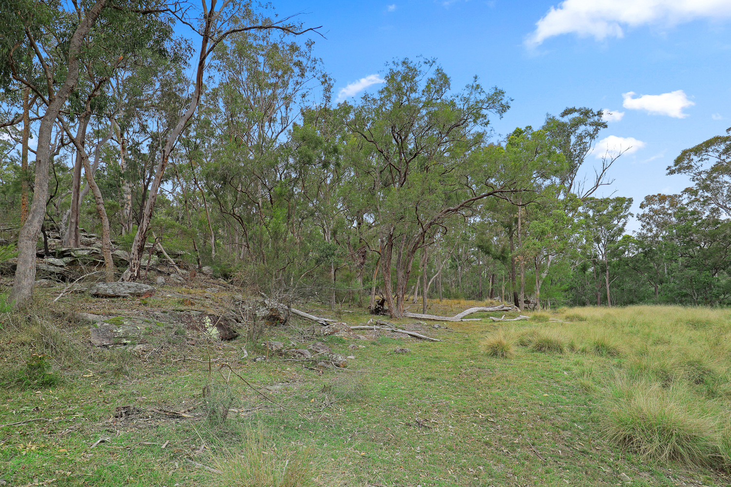291 Hidden Valley Lane, Glenorie NSW 2157 - photo 9
