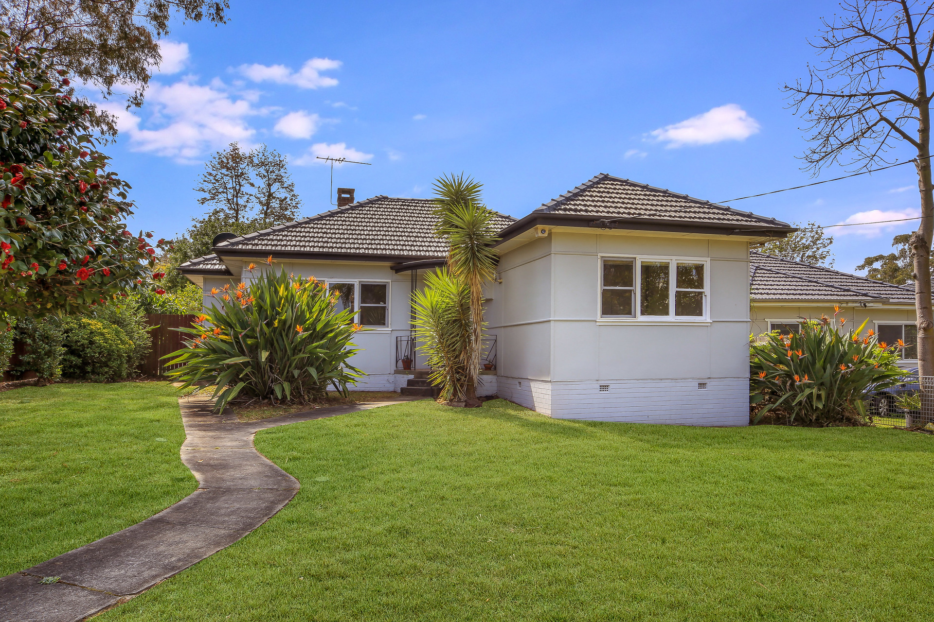 17+17A Campbell Street, Northmead NSW 2152 - photo 12