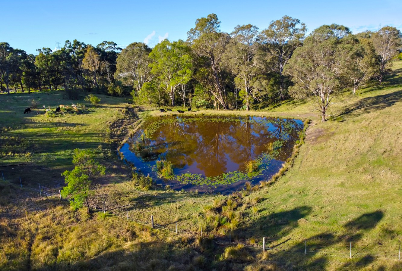 440A Comleroy Road, Kurrajong NSW 2758 - photo 6