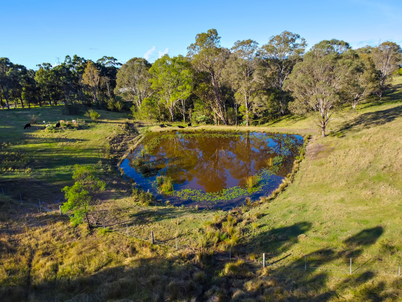440A Comleroy Road, Kurrajong NSW 2758 - photo 6