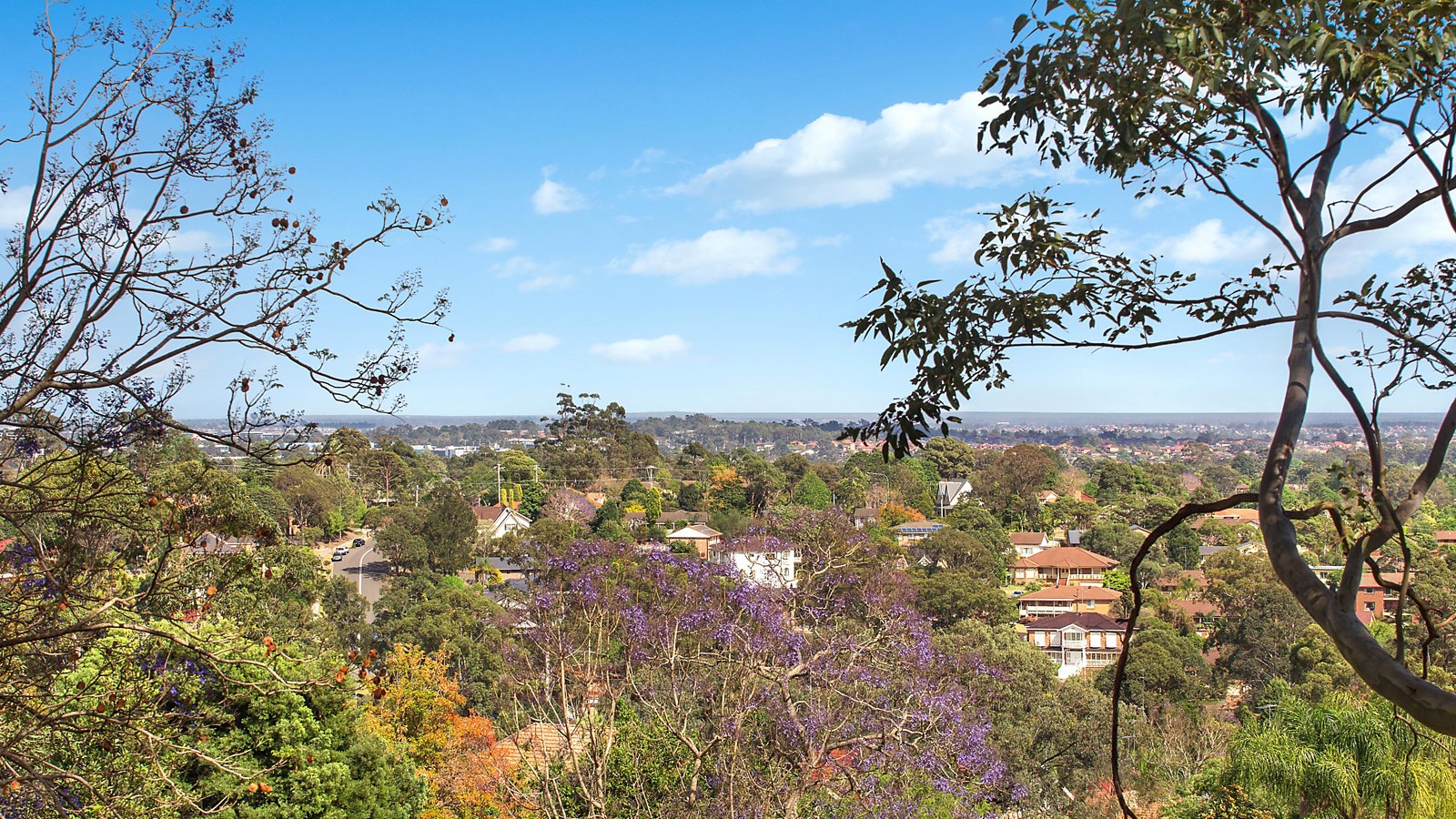 12A Palisander Place, Castle Hill NSW 2154 - photo 3
