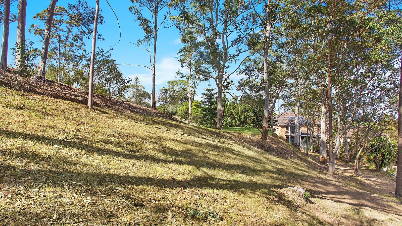 12A Palisander Place, Castle Hill NSW 2154 - photo 4