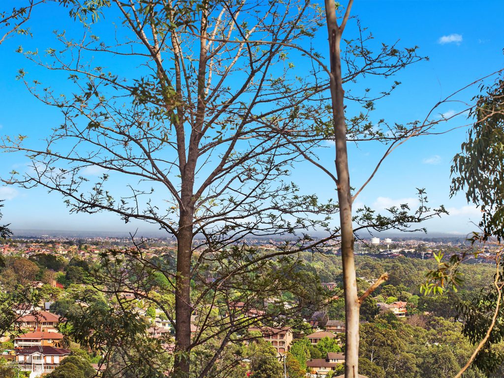 12A Palisander Place, Castle Hill NSW 2154 - photo 5