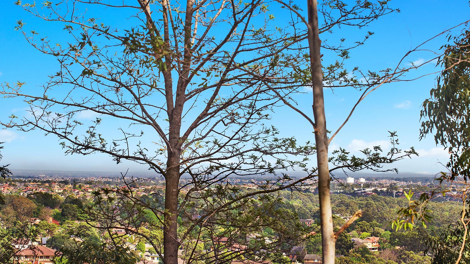 12A Palisander Place, Castle Hill NSW 2154 - photo 5
