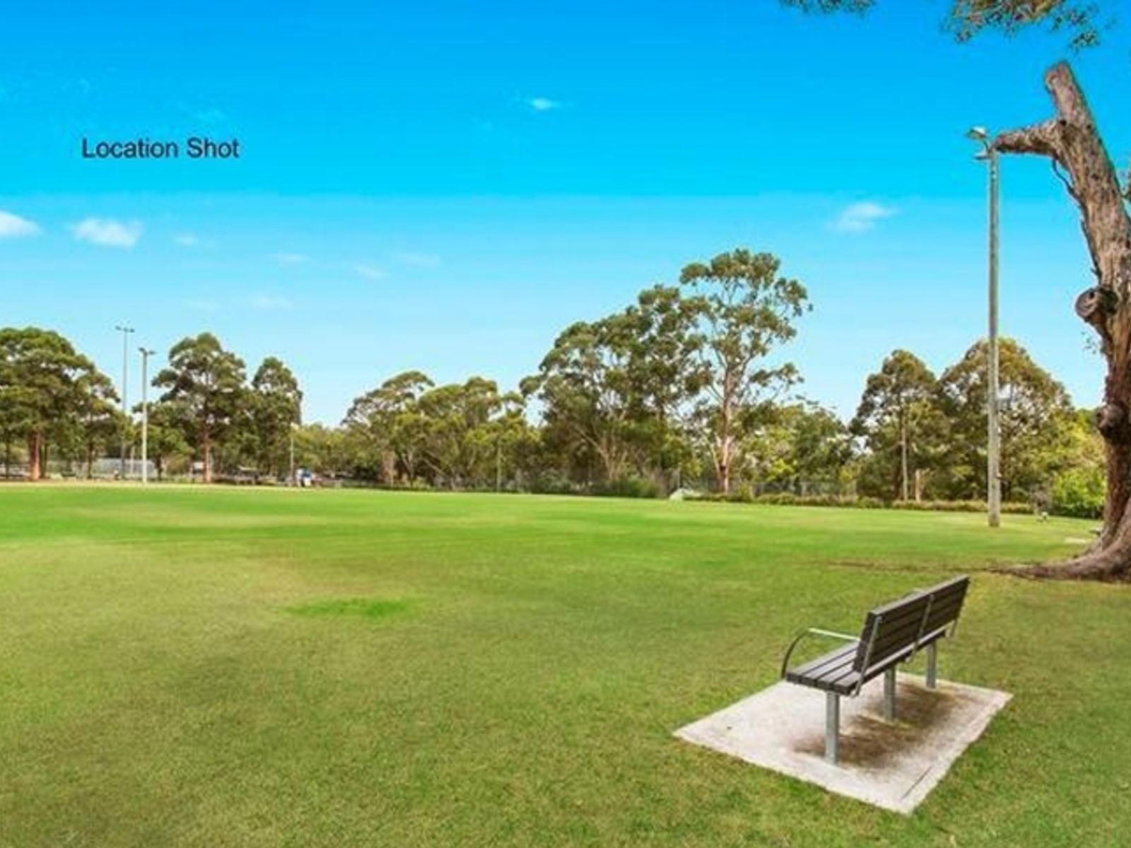 236 Excelsior Avenue, Castle Hill NSW 2154 - photo 4