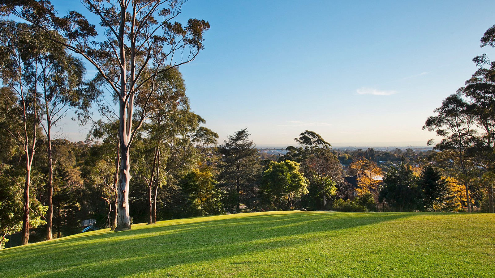 12D Palisander Place, Castle Hill NSW 2154 - photo 5