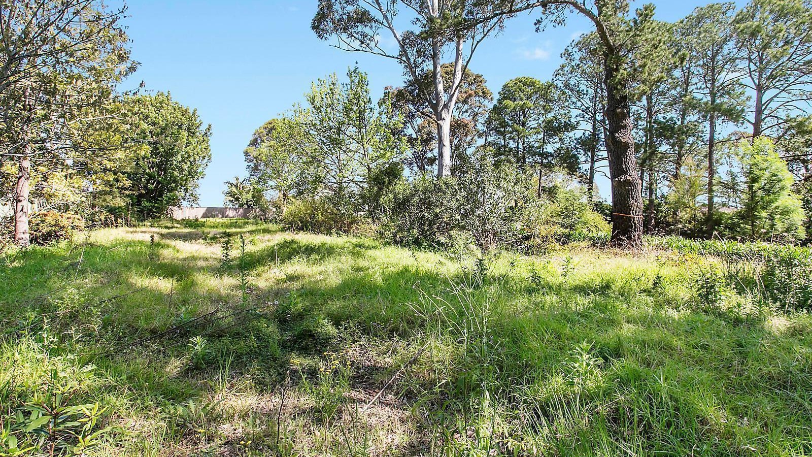 156 Old Castle Hill Road, Castle Hill NSW 2154 - photo 2