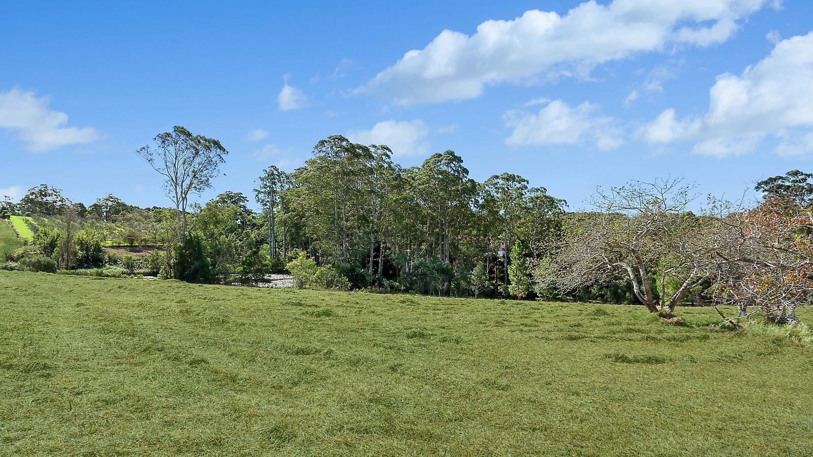 311-313 Galston Road, Galston NSW 2159 - photo 4