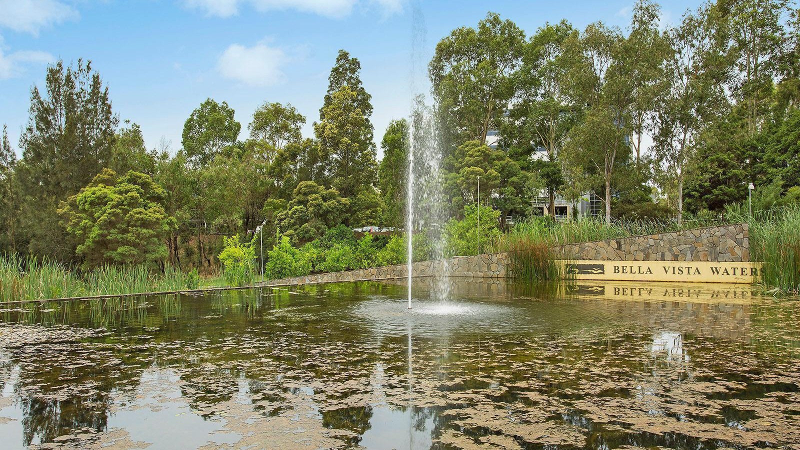 6 Montreux Rise, Bella Vista NSW 2153 - photo 5