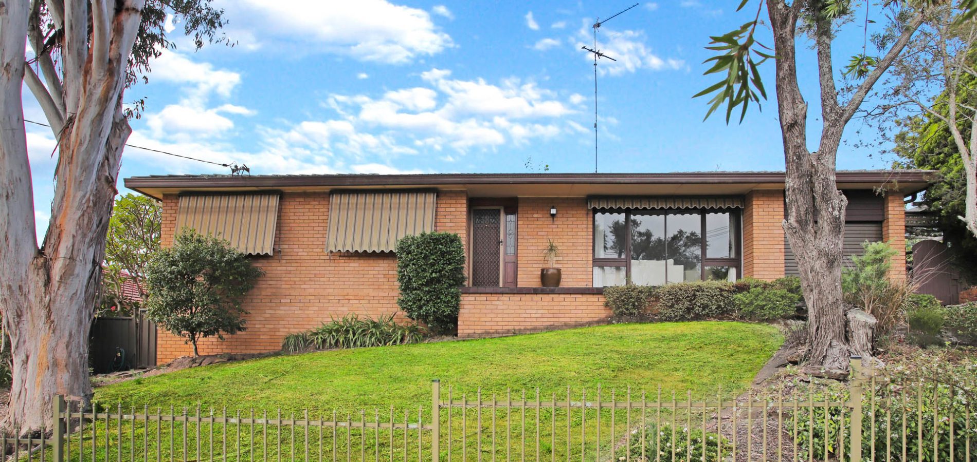 Sold - 43 Apple Street - New Property in Constitution Hill - Real Estate by Brad Panayiotou