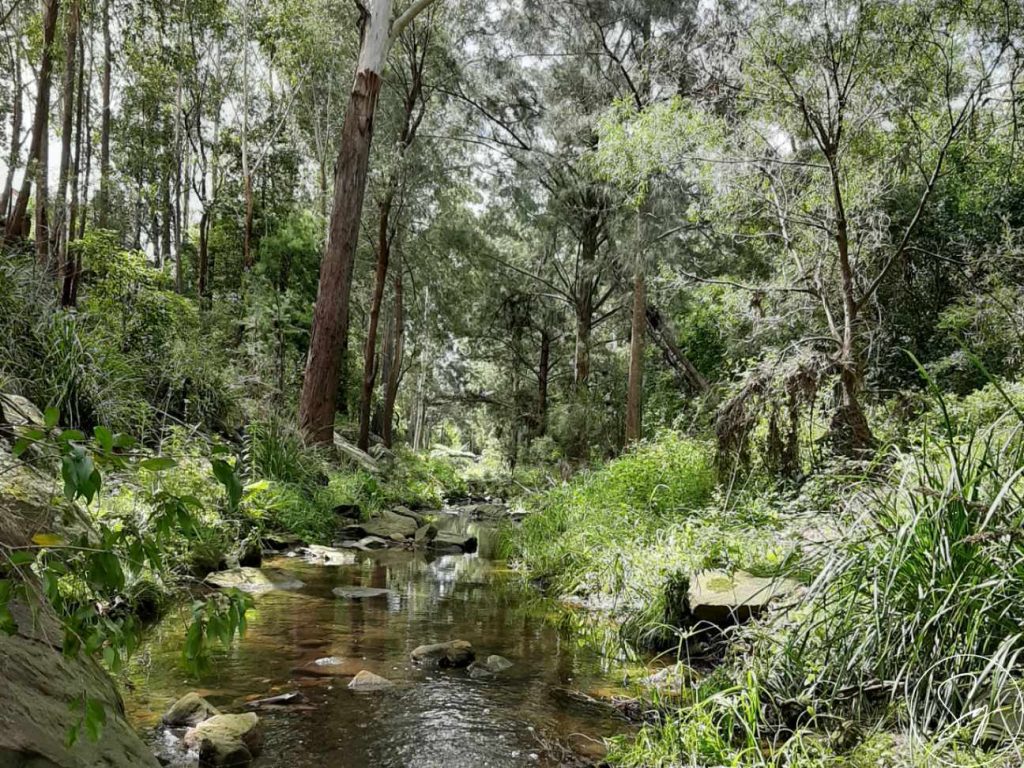 Gum Nut Close, NORTH KELLYVILLE NSW 2155 - photo 5