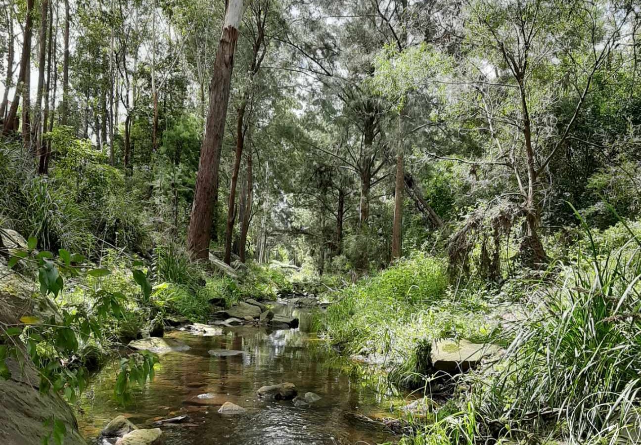 Gum Nut Close, NORTH KELLYVILLE NSW 2155 - photo 5