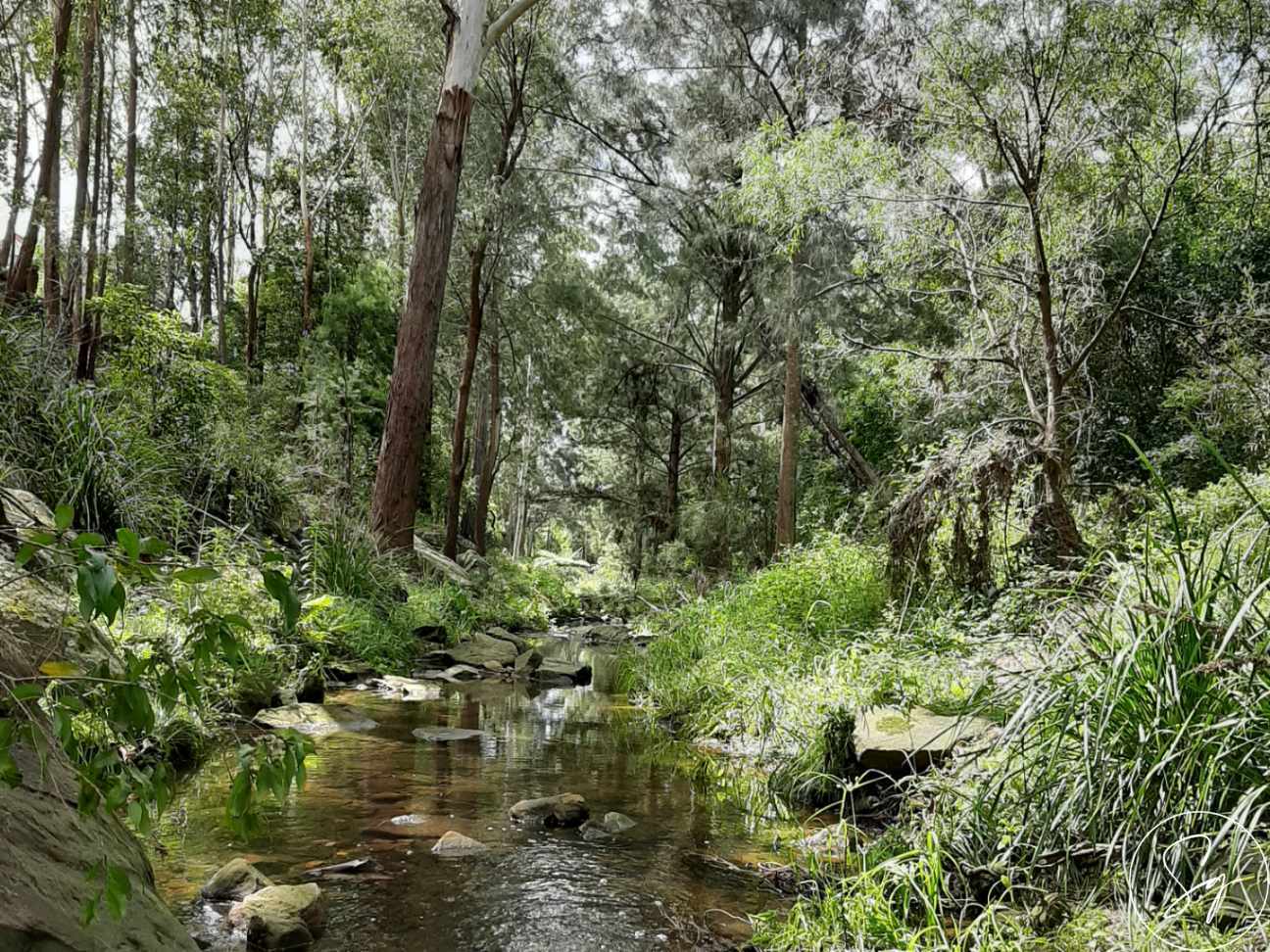 Gum Nut Close, NORTH KELLYVILLE NSW 2155 - photo 5
