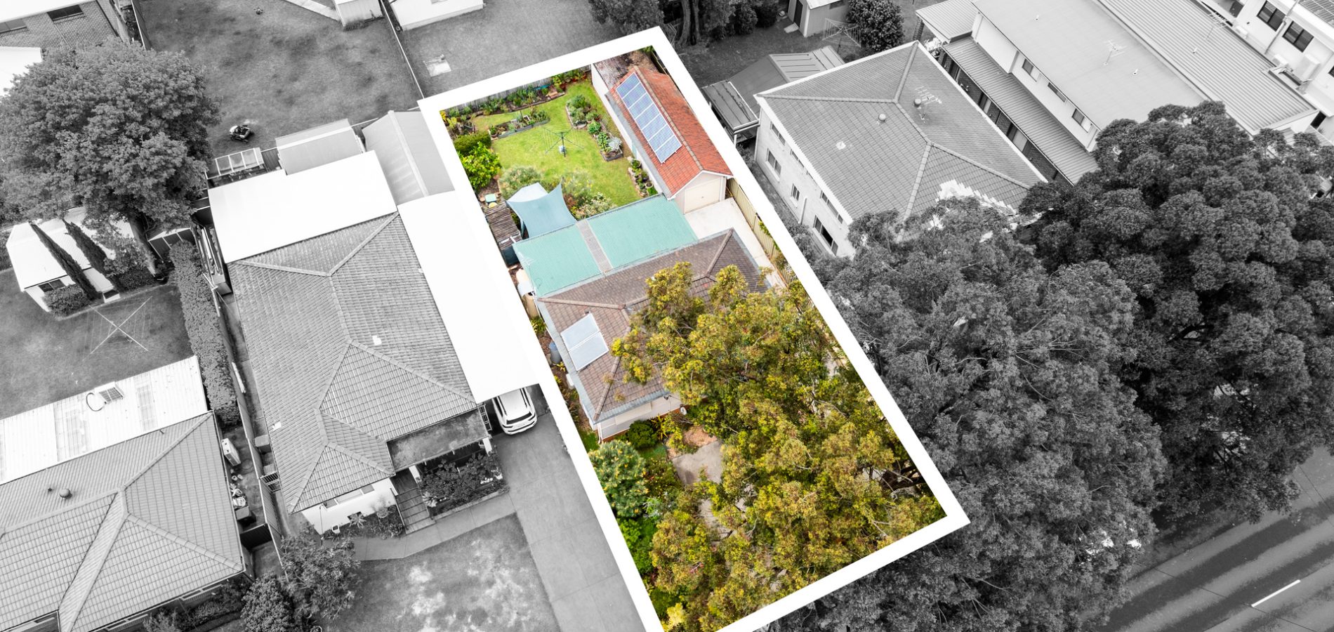 Sold - 105 Bogalara Road - New Property in Old Toongabbie - Real Estate by Brad Panayiotou