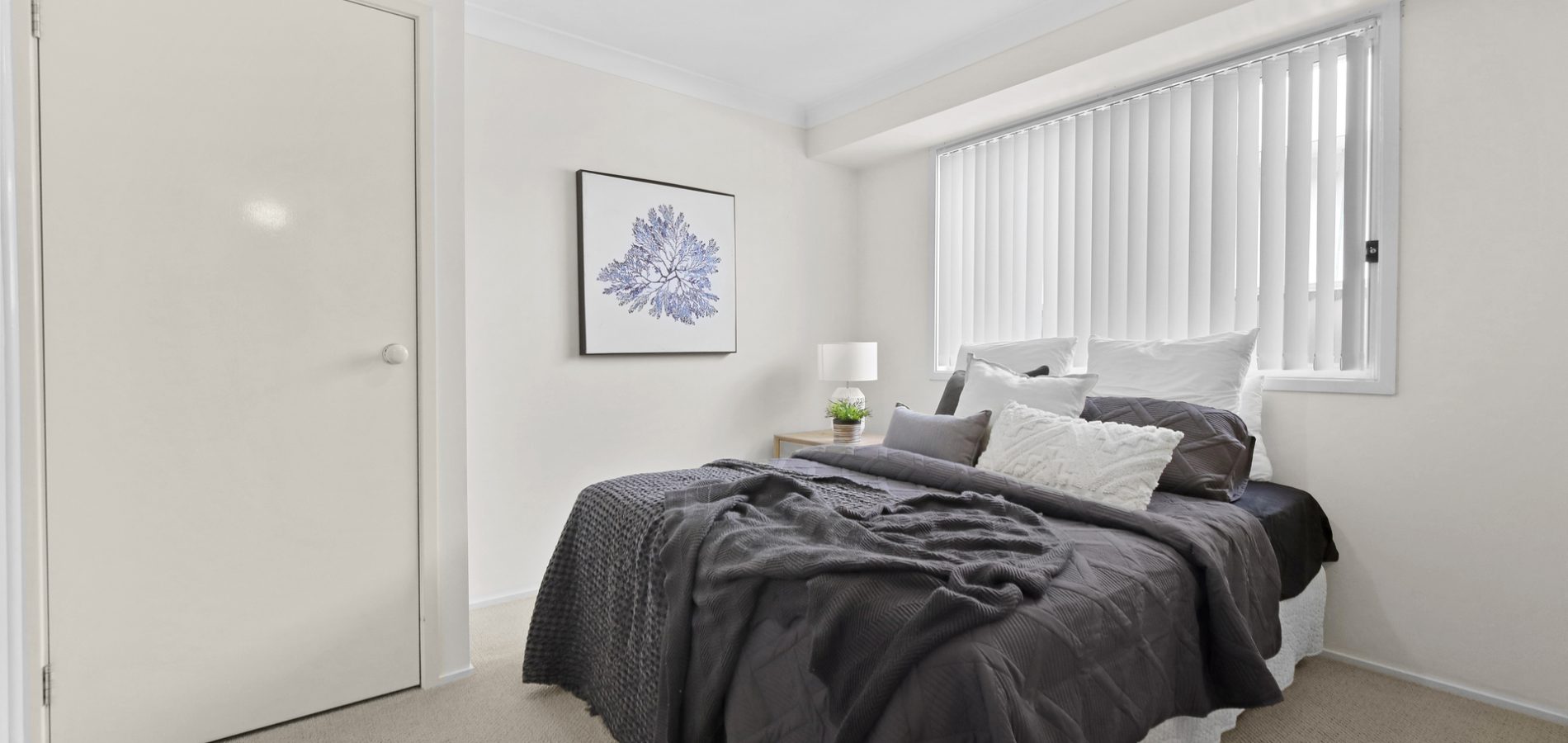 15 Killarney Avenue, Blacktown NSW 2148 - photo 15