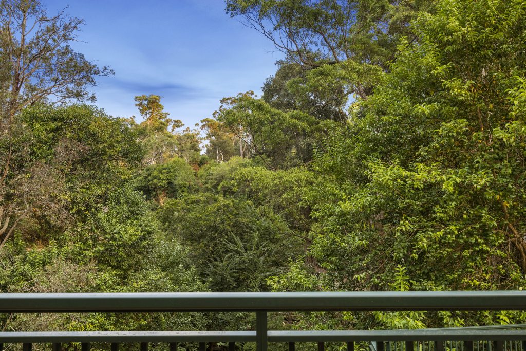 8A Cattai Ridge Road, Glenorie NSW 2157 - photo 22