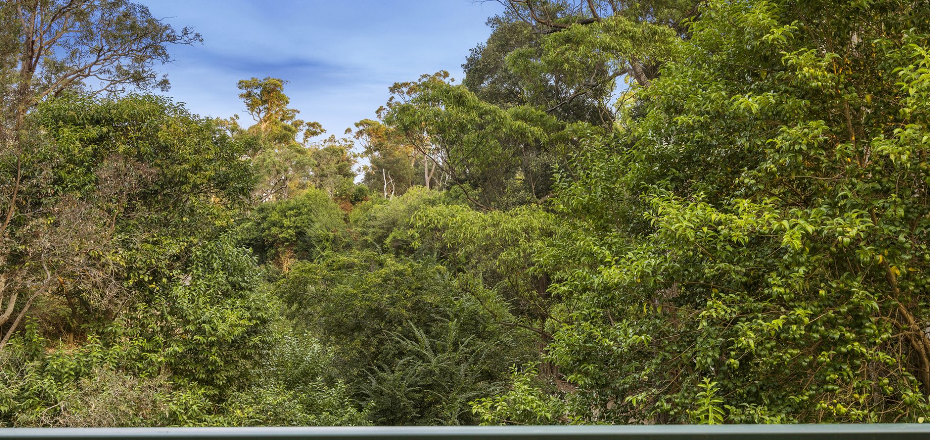 8A Cattai Ridge Road, Glenorie NSW 2157 - photo 22