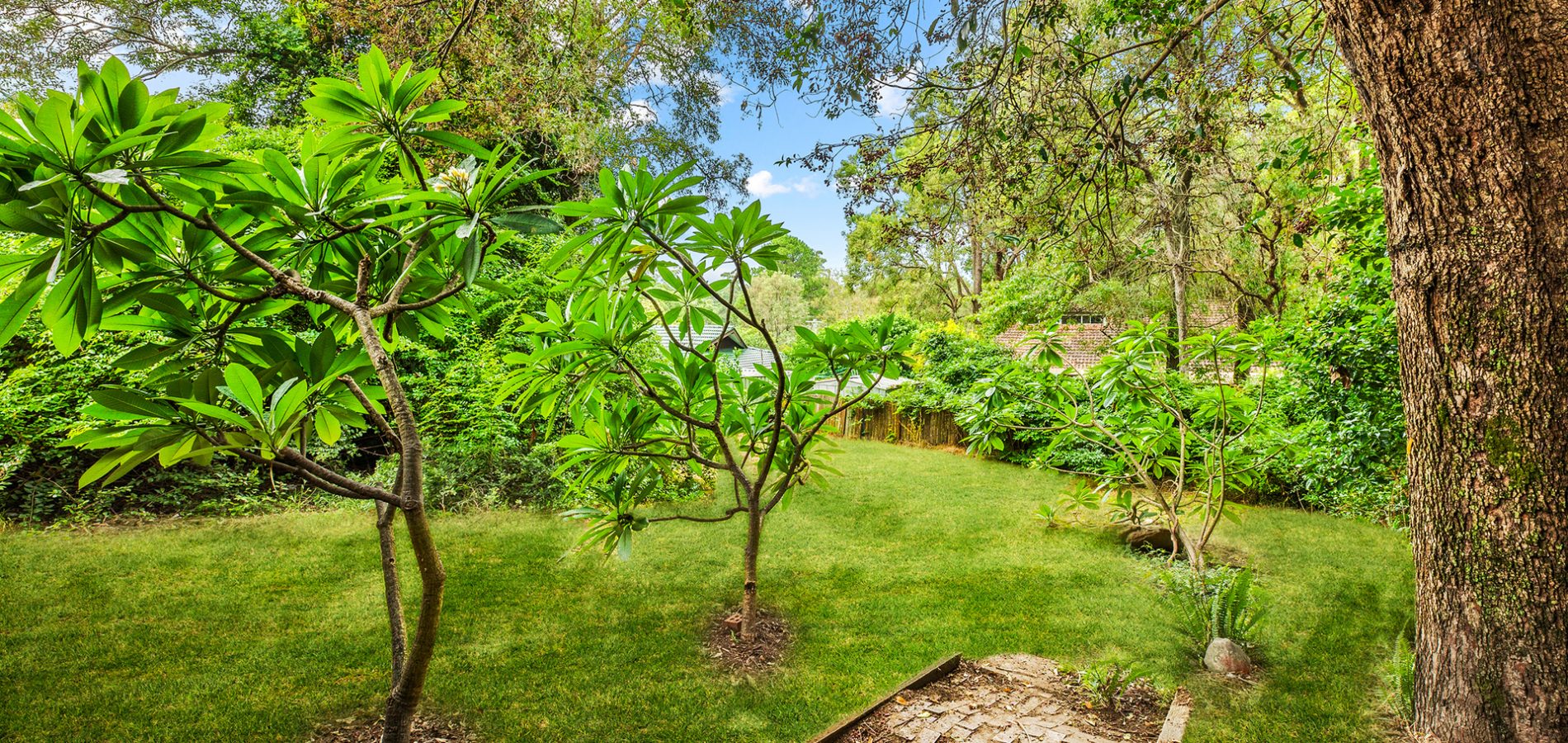 35 Cliff Avenue, Winston Hills NSW 2153 - photo 9