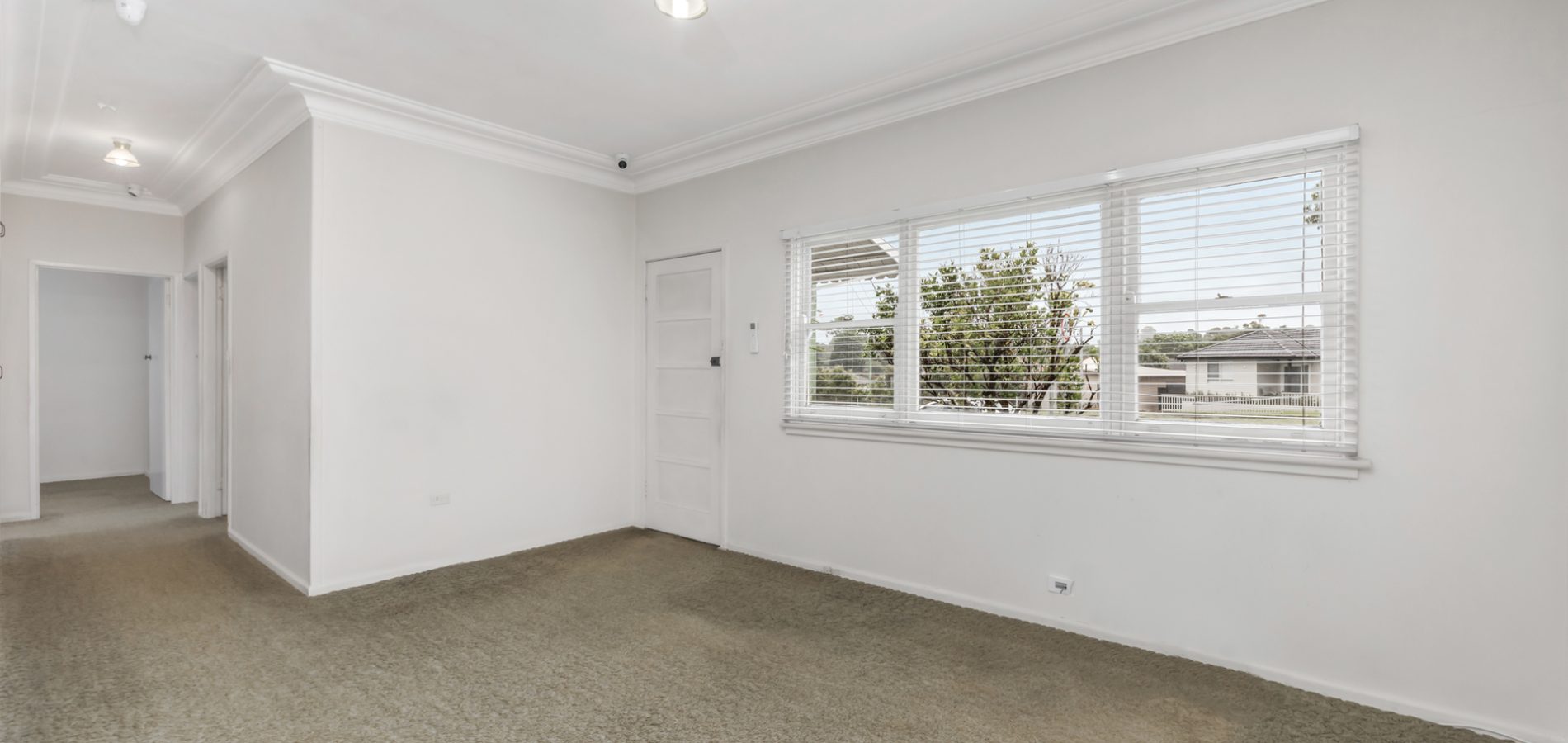 25 Johnson Avenue, Seven Hills NSW 2147 - photo 3
