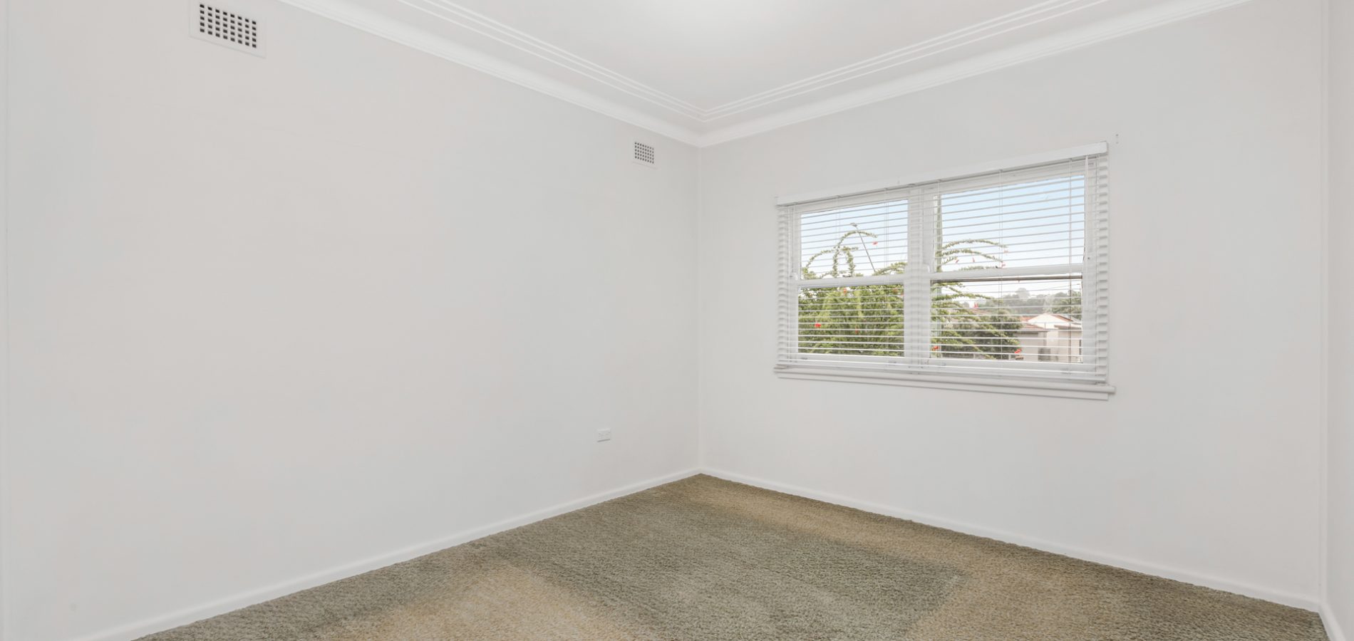 25 Johnson Avenue, Seven Hills NSW 2147 - photo 4