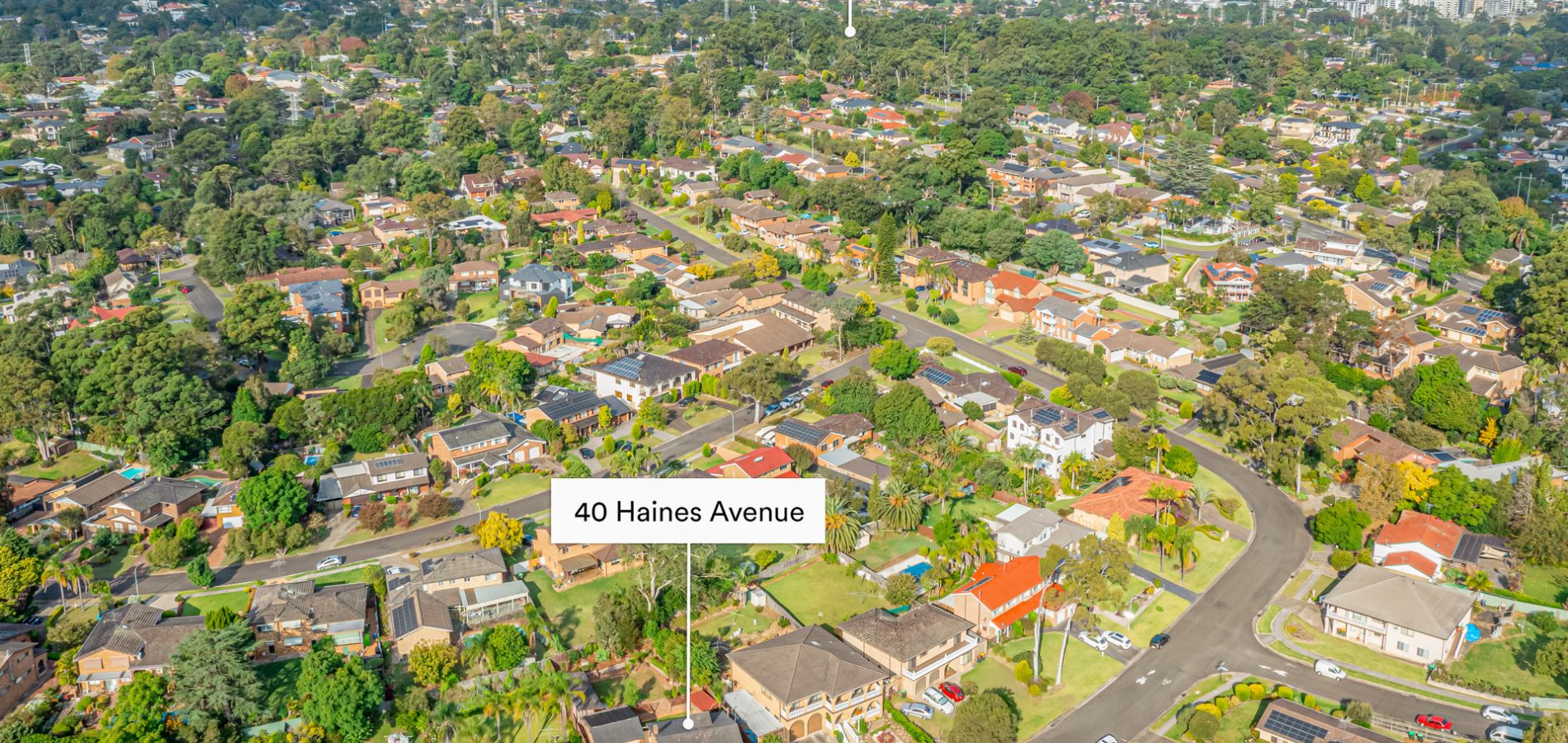 40 Haines Avenue, Carlingford NSW 2118 - photo 19