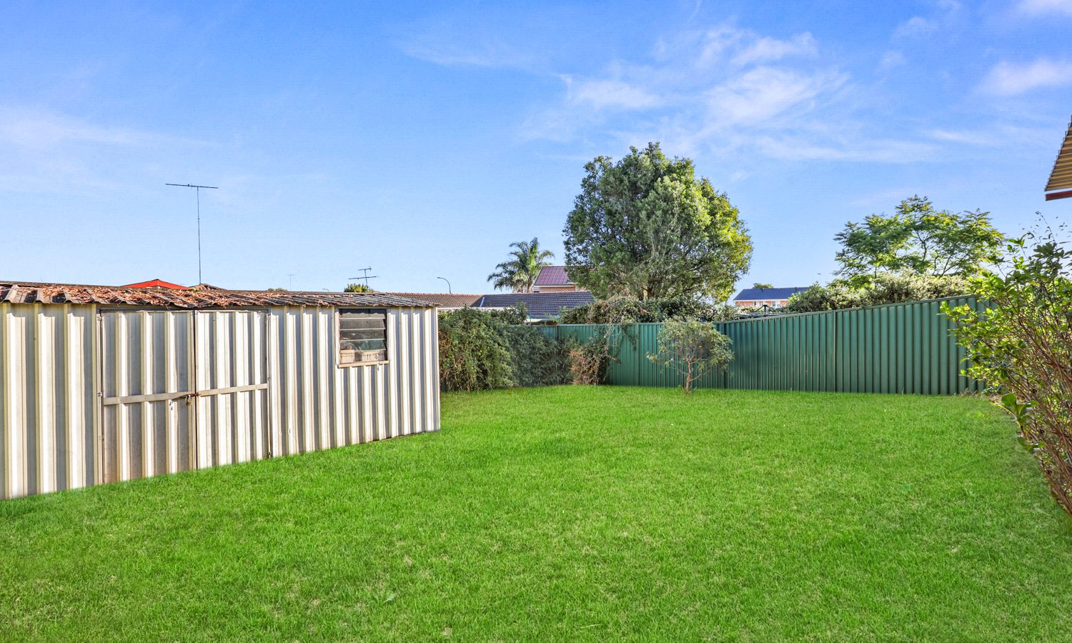 10 Almeta Street, Schofields NSW 2762 - photo 5